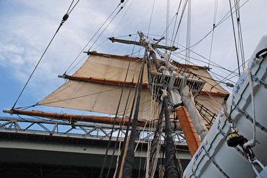 Steve Harper; Square rigger; Square rigger and Harbour Bridge