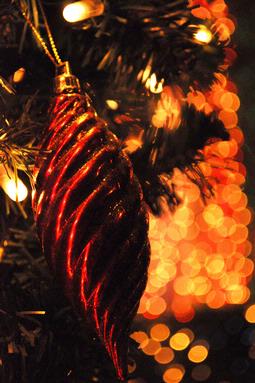 Chamalie Jayaweera; Decorating the xmas tree