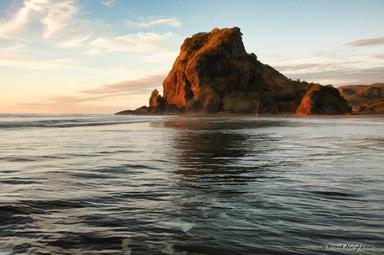 Brent Neighbour; Lion Rock; Piha Beach