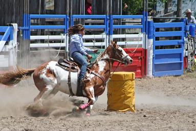 Karen Williamson; Barrel Race; Warkworth Rodeo, New Years Day