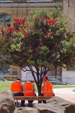 Kevin Mansell; Summer in the City; Britomart Square