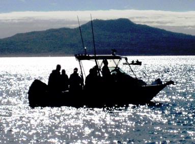 Jerry Zinn: Out Fishihng; Taken at Takapuna Beach