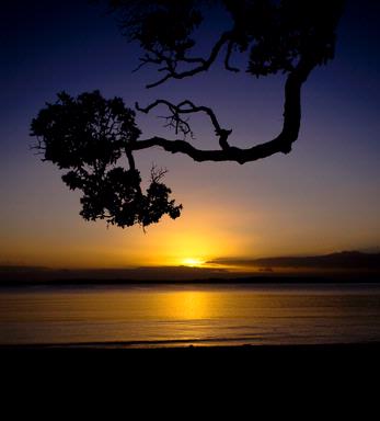 Phil Clark; Dawn of a New Decade; Taken at Hatfields Beach on 1 Jan 2010