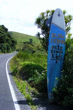 Bonnie Buchan; Best sign Bethells Beach