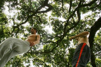 Lindsey Watson; Epic Tree with the Parkour kids; Jared Lamont and Amadeus Diamond City Central