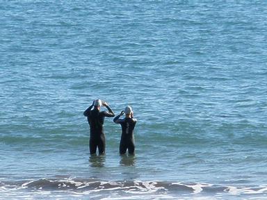 J Norris; Tsunami warning on Takapuna Beach; Ignorance is bliss