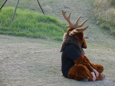 JD;Splore Festival;Moose on the loose