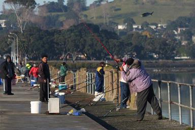  Fishing off Old Mangere Bridge