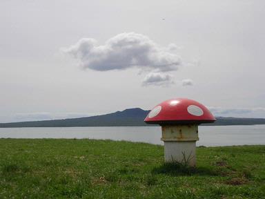 Judy Klaus; Rangitoto from North Head; school holidays