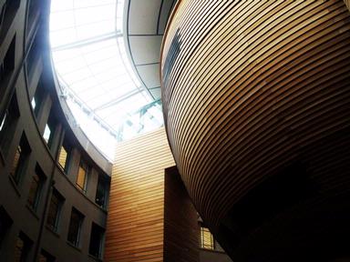 francesca gallo; curves; Auckland Museum