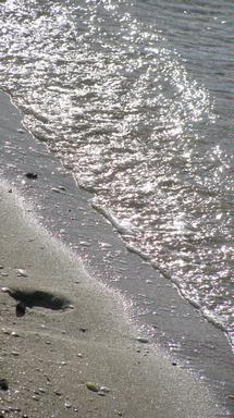 Suraj Nishantha Dias; Pearly Shells; Maretai Beach