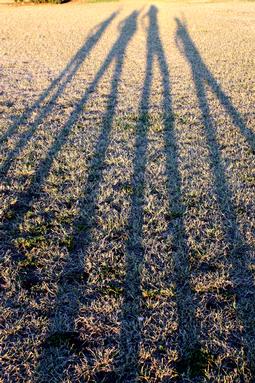 Catrina Sewell; Sunset fun with my nieces