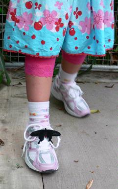 Jennifer Olberts;Live Shoe Accessory;A butterfly resting on a child's shoe, Butterfly Creek near the airport