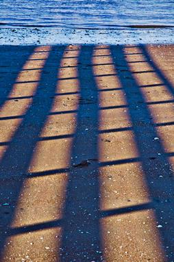 michael bajko; cornwallis beach;late autumn shadows