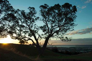 fillicia TW; Sunset; Mt Eden Summit