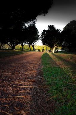 Chamalie Jayaweera; Afternoon Stroll; at One Tree Hill