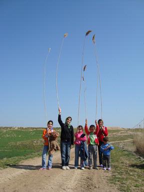 Gholamreza Shomalnasab; Happy Kids