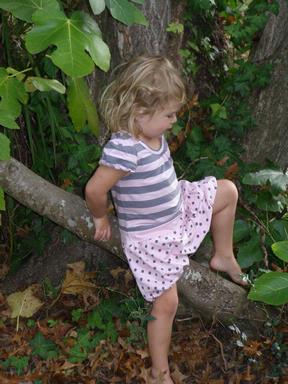 Jesse Wells; Tree poser;Ally in East auckland