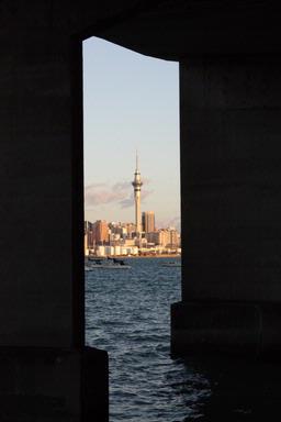 Mark Woods; Sky Tower; Sky Tower from under harbour Bridge