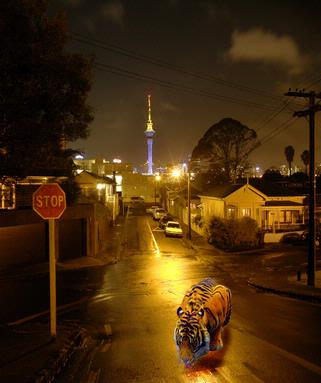 Peter Jennings;Animal Night Life; Ponsonby