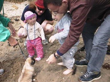 JERRY ZINN;ADMIRERS;Areal fuss made of the pug Bella on Takapuna beach