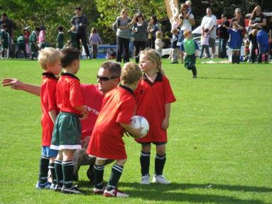 Lesa Conder; Foxes Team Effort; Ears open Foxes