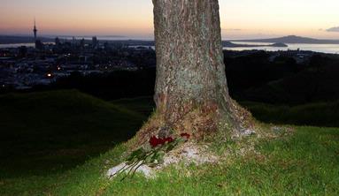 Peter Jennings; Ashes to Ashes; Mt Eden