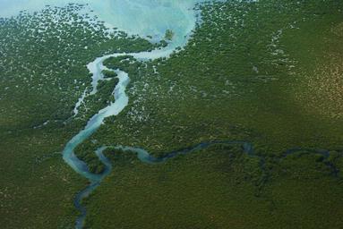 Melania Saez; Great Barrier Island; Air shot over wetlands