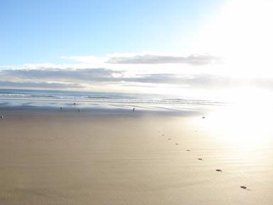 BRIGID OGILVIE; Light footed; Muriwai