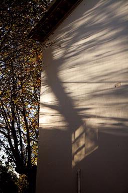 Sheng li; June's shadow
