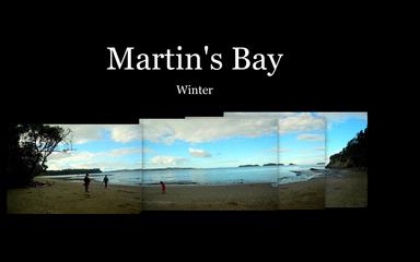 Niko;Martins Bay Winter