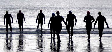 JERRY ZINN; THE SWIMMERS; A REALLY DEDICATED LOT