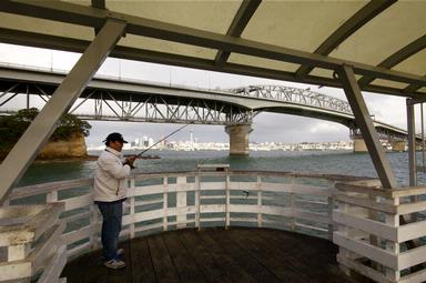 Allan Johnston Photographer; Fishing Auckland; Man catching a fish with back drop of Akld CBD