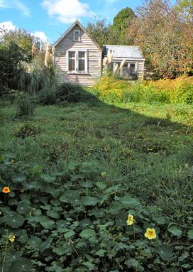 Rodney Chapman; Old house in Helensville; Nikon P 80 Aperature mode F11/125sec