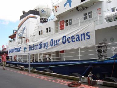 Kim Symonds; Greenpeace ship in port before heading out; Auckland viaduct