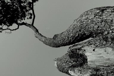 Lena Fedosova;The Life; Long Bay