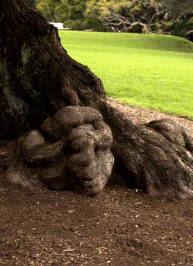 Lena Fedosova;The Centre of Passions; Albert Park