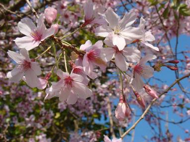 Paul Barrett; Spring is here