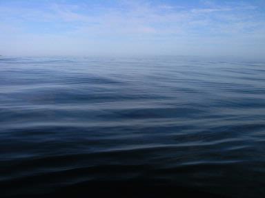 David J Curno;dead calm; fishing hauraki gulf, labour weekend