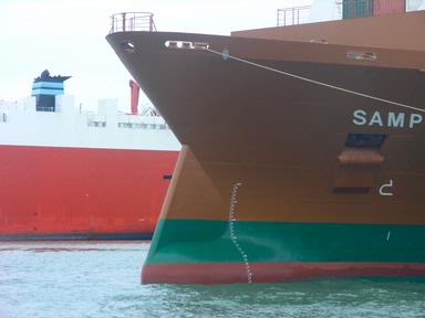 David J Curno;Samp; the sampogracht in auckland harbour