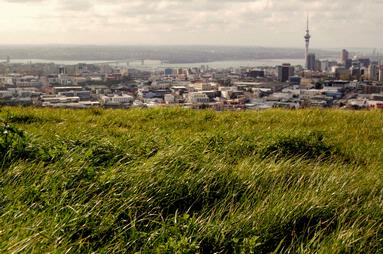 Lena Fedosova;Auckland Contrasts; Mt Eden