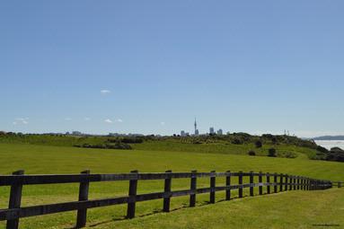 Nils Lermet;Grass, Sky and City Sky; View of Auckland from Orakei Domain