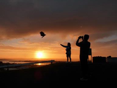 Archana;Sunset; Captured this silhouette shot @ Mt. Victoria, Devonport