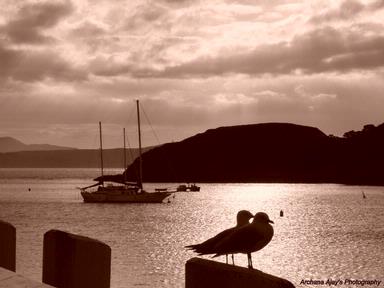 Archana;Silhouette; Captured @ Waiheke Island