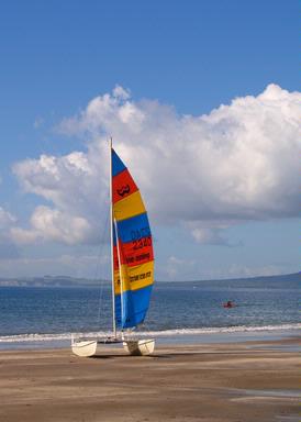 Tony Koilichki;Lonely;Browns Bay