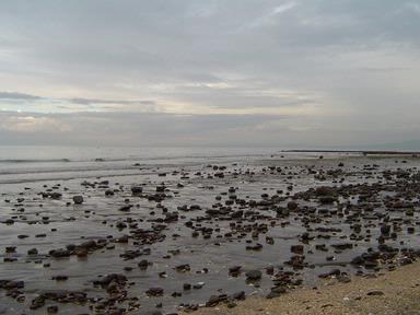 Tony Koilichki;Washed Up; Browns Bay