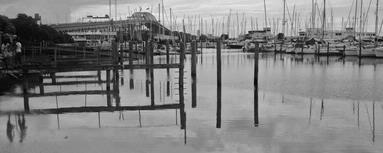 Aroha Awarau; Habour Bridge; Strolling down the Westhaven harbour, and took this pic.