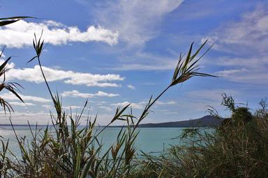 francesca gallo;rangitoto; saint heliers