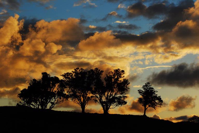 Asma Pyakurel; Dark sunset; Mt Eden