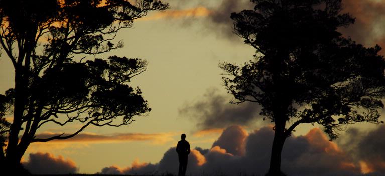 Asma Pyakurel;Man staring at Sunset;Mt.Eden